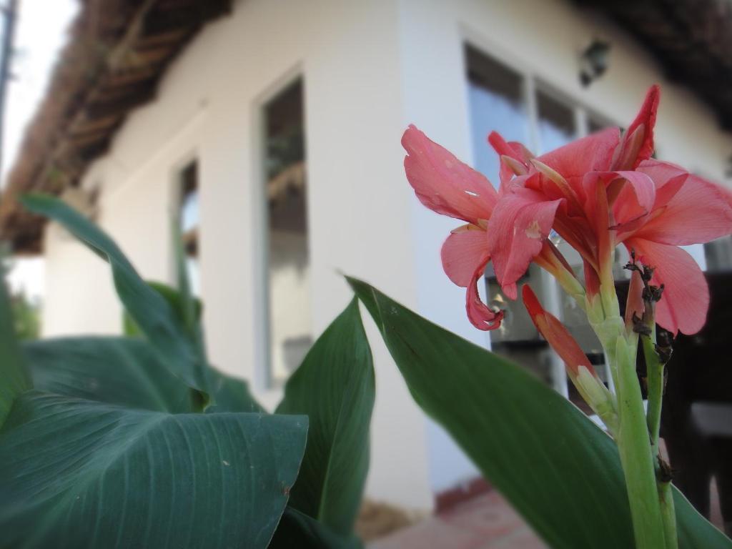 Blue Sea Boutique Hotel Sihanoukville Exterior photo