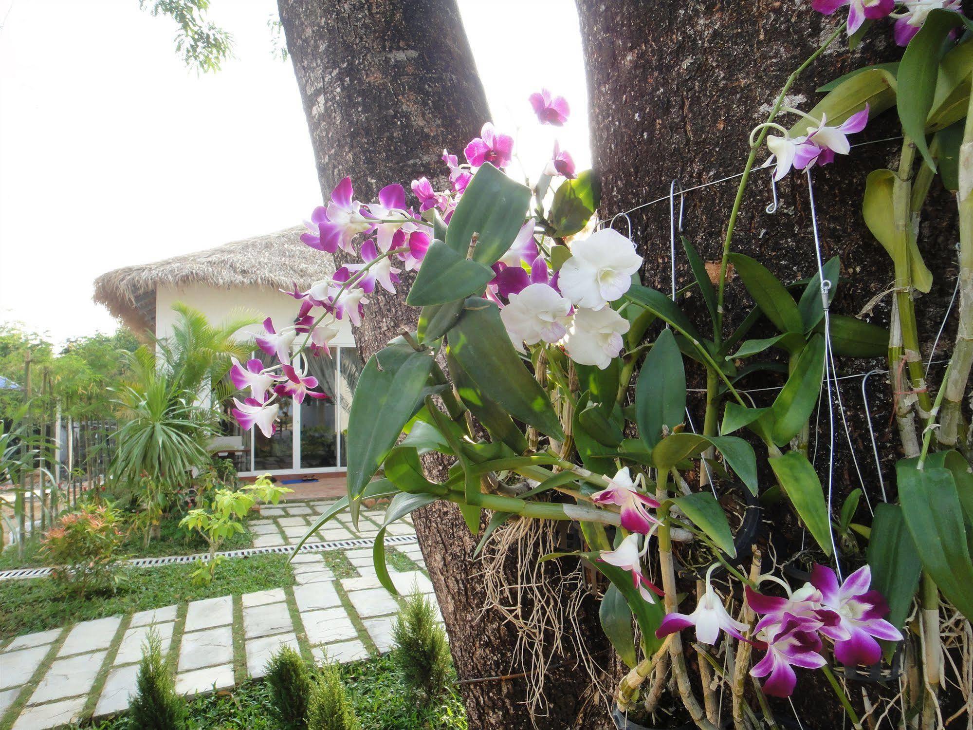 Blue Sea Boutique Hotel Sihanoukville Exterior photo